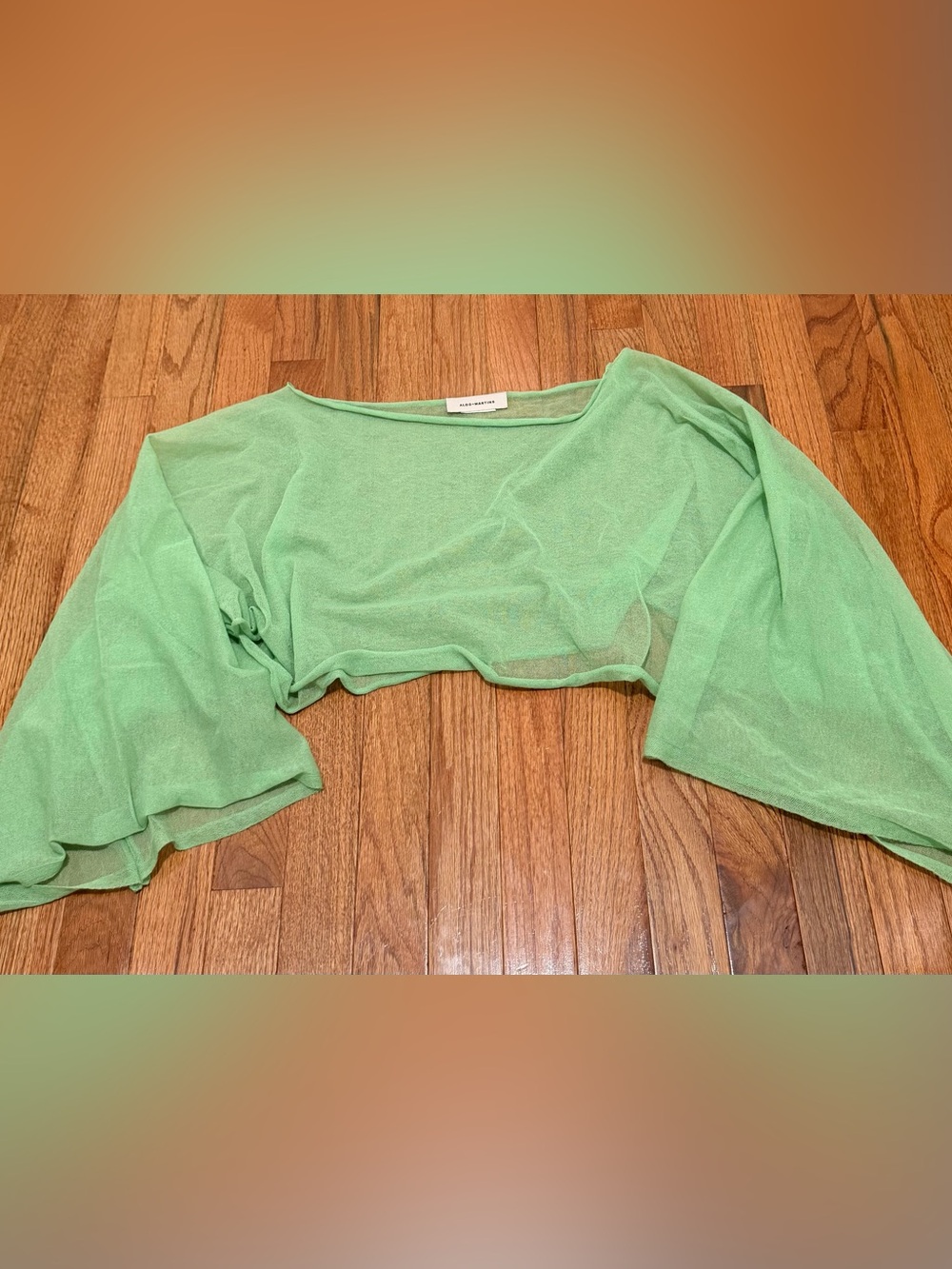 Aldo Martins Mint Green Sheer Cropped Bell-Sleeve Top